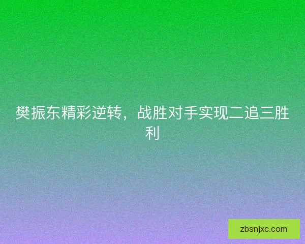 樊振东精彩逆转,战胜对手实现二追三胜利 樊振东精彩逆转,战胜对手实现二追三胜利