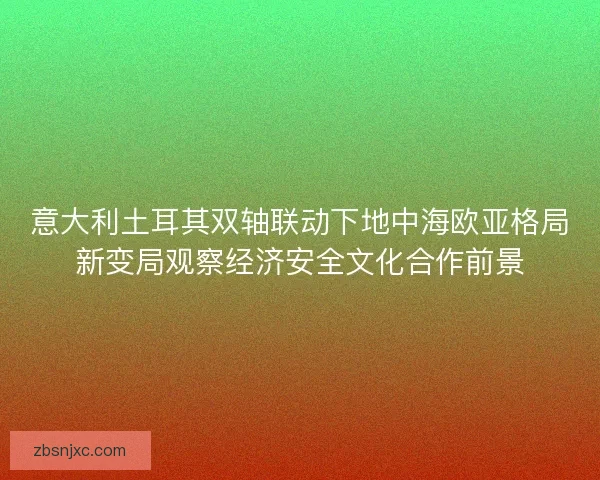 意大利土耳其双轴联动下地中海欧亚格局新变局观察经济安全文化合作前景 意大利土耳其双轴联动下地中海欧亚格局新变局观察经济安全文化合作前景
