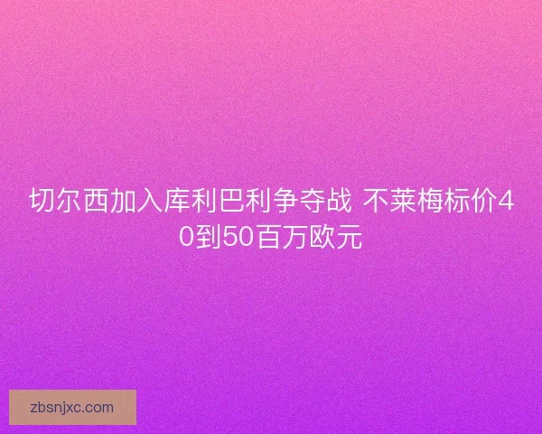 切尔西加入库利巴利争夺战 不莱梅标价40到50百万欧元