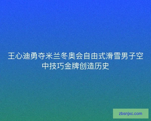 王心迪勇夺米兰冬奥会自由式滑雪男子空中技巧金牌创造历史
