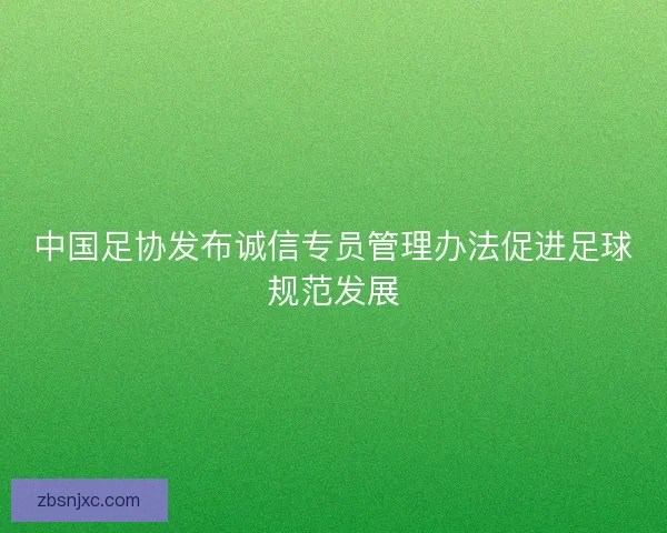 中国足协发布诚信专员管理办法促进足球规范发展